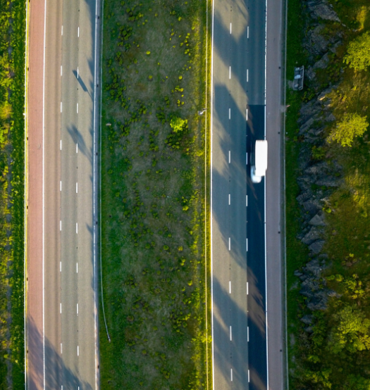 La ecología importa